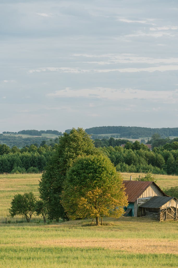 Serene rural landscape with a rustic farmhouse and lush greenery in Volozhin, Belarus.